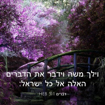 Picture 03 - דברים 31:1 HEB - וילך משה וידבר את הדברים - Bible Verse Picture