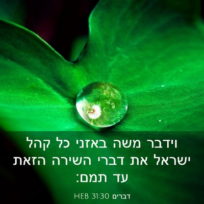 Picture 03 - דברים 31:30 HEB - וידבר משה באזני כל קהל - Bible Verse Picture
