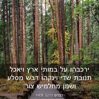 Picture 03 - דברים 32:13 HEB - ירכבהו על במותי ארץ ויאכל - Bible Verse Picture
