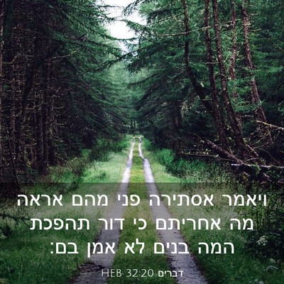 Picture 03 - דברים 32:20 HEB - ויאמר אסתירה פני מהם אראה - Bible Verse Picture