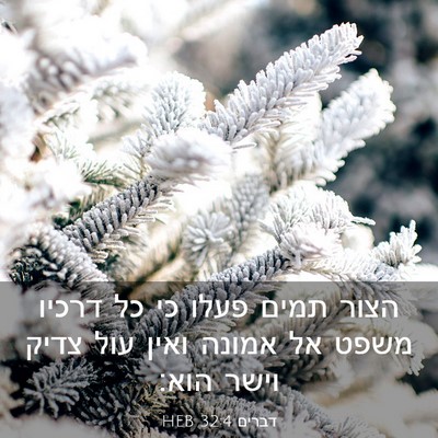 Picture 03 - דברים 32:4 HEB - הצור תמים פעלו כי כל דרכיו - Bible Verse Picture