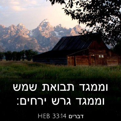 Picture 03 - דברים 33:14 HEB - וממגד תבואת שמש וממגד גרש - Bible Verse Picture