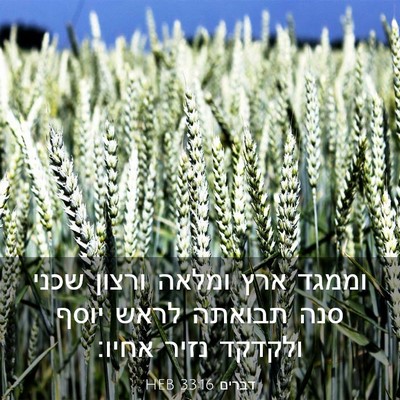 Picture 03 - דברים 33:16 HEB - וממגד ארץ ומלאה ורצון שכני - Bible Verse Picture