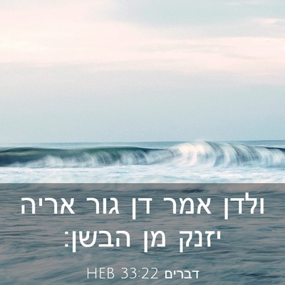 Picture 03 - דברים 33:22 HEB - ולדן אמר דן גור אריה יזנק - Bible Verse Picture
