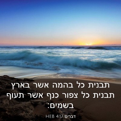 Picture 03 - דברים 4:17 HEB - תבנית כל בהמה אשר בארץ - Bible Verse Picture