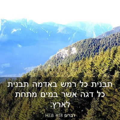 Picture 03 - דברים 4:18 HEB - תבנית כל רמש באדמה תבנית כל - Bible Verse Picture
