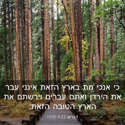 Picture 03 - דברים 4:22 HEB - כי אנכי מת בארץ הזאת אינני - Bible Verse Picture