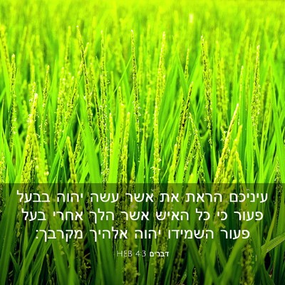 Picture 03 - דברים 4:3 HEB - עיניכם הראת את אשר עשה יהוה - Bible Verse Picture