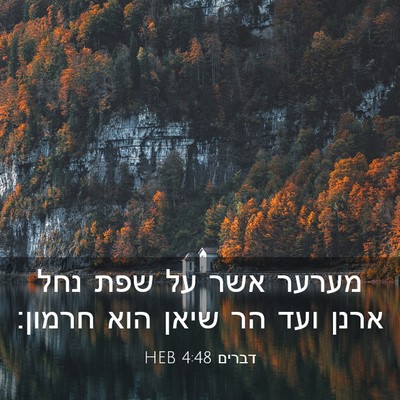 Picture 03 - דברים 4:48 HEB - מערער אשר על שפת נחל ארנן - Bible Verse Picture