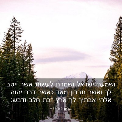 Picture 03 - דברים 6:3 HEB - ושמעת ישראל ושמרת לעשות - Bible Verse Picture