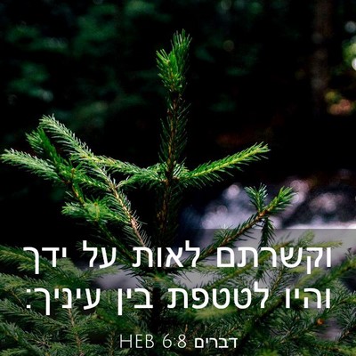 Picture 03 - דברים 6:8 HEB - וקשרתם לאות על ידך והיו - Bible Verse Picture
