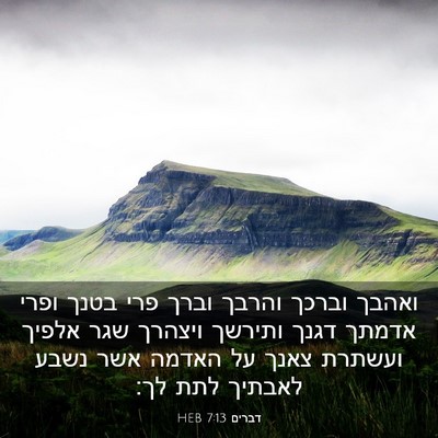 Picture 03 - דברים 7:13 HEB - ואהבך וברכך והרבך וברך פרי - Bible Verse Picture