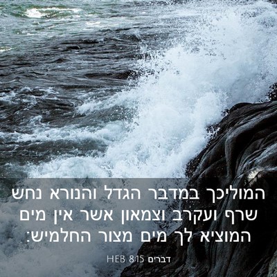 Picture 03 - דברים 8:15 HEB - המוליכך במדבר הגדל והנורא - Bible Verse Picture