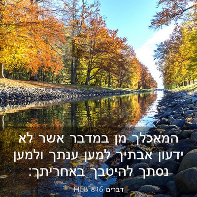 Picture 03 - דברים 8:16 HEB - המאכלך מן במדבר אשר לא - Bible Verse Picture