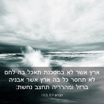 Picture 03 - דברים 8:9 HEB - ארץ אשר לא במסכנת תאכל בה - Bible Verse Picture