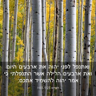 Picture 03 - דברים 9:25 HEB - ואתנפל לפני יהוה את ארבעים - Bible Verse Picture