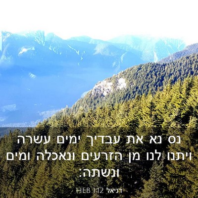 Picture 03 - דניאל 1:12 HEB - נס נא את עבדיך ימים עשרה - Bible Verse Picture