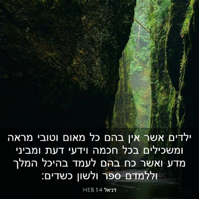 Picture 03 - דניאל 1:4 HEB - ילדים אשר אין בהם כל מאום - Bible Verse Picture