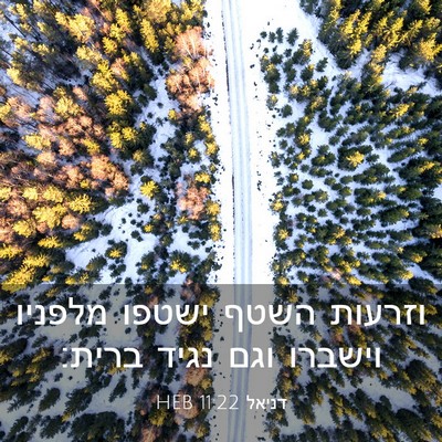 Picture 03 - דניאל 11:22 HEB - וזרעות השטף ישטפו מלפניו - Bible Verse Picture