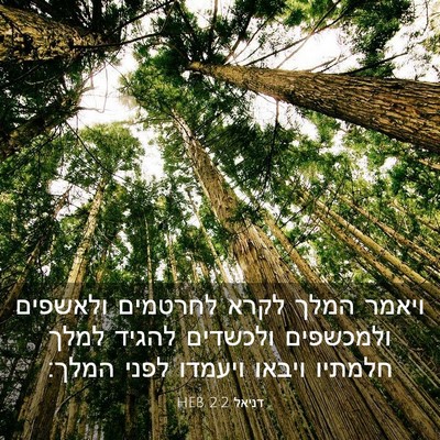 Picture 03 - דניאל 2:2 HEB - ויאמר המלך לקרא לחרטמים - Bible Verse Picture