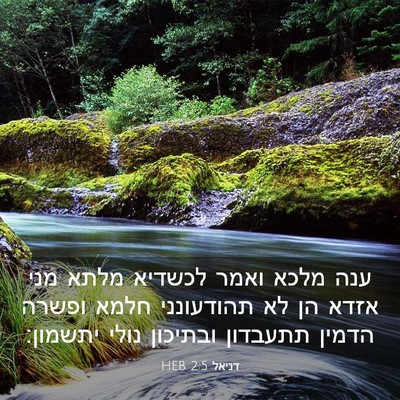 Picture 03 - דניאל 2:5 HEB - ענה מלכא ואמר לכשדיא מלתא - Bible Verse Picture