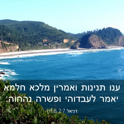 Picture 03 - דניאל 2:7 HEB - ענו תנינות ואמרין מלכא - Bible Verse Picture