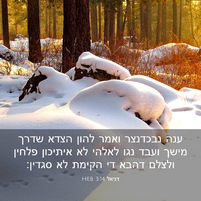 Picture 03 - דניאל 3:14 HEB - ענה נבכדנצר ואמר להון הצדא - Bible Verse Picture