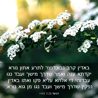 Picture 03 - דניאל 3:26 HEB - באדין קרב נבוכדנצר לתרע - Bible Verse Picture