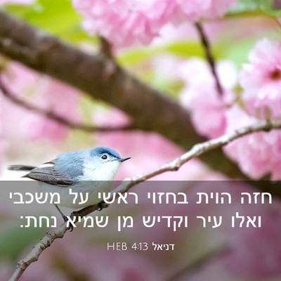 Picture 03 - דניאל 4:13 HEB - חזה הוית בחזוי ראשי על - Bible Verse Picture
