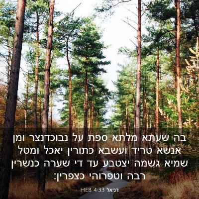 Picture 03 - דניאל 4:33 HEB - בה שעתא מלתא ספת על - Bible Verse Picture