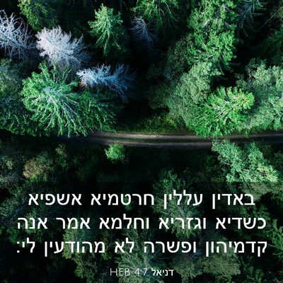 Picture 03 - דניאל 4:7 HEB - באדין עללין חרטמיא אשפיא - Bible Verse Picture