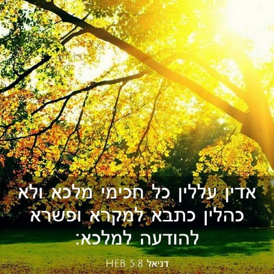 Picture 03 - דניאל 5:8 HEB - אדין עללין כל חכימי מלכא - Bible Verse Picture