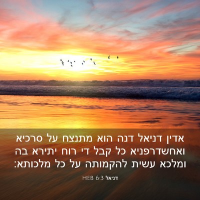 Picture 03 - דניאל 6:3 HEB - אדין דניאל דנה הוא מתנצח על - Bible Verse Picture