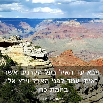 Picture 03 - דניאל 8:6 HEB - ויבא עד האיל בעל הקרנים אשר - Bible Verse Picture