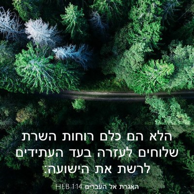 Picture 03 - האגרת אל העברים 1:14 HEB - הלא הם כלם רוחות השרת - Bible Verse Picture