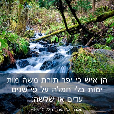 Picture 03 - האגרת אל העברים 10:28 HEB - הן איש כי יפר תורת משה מות - Bible Verse Picture