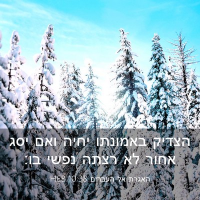 Picture 03 - האגרת אל העברים 10:38 HEB - הצדיק באמונתו יחיה ואם יסג - Bible Verse Picture