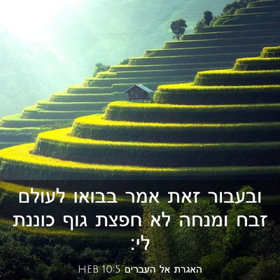 Picture 03 - האגרת אל העברים 10:5 HEB - ובעבור זאת אמר בבואו לעולם - Bible Verse Picture