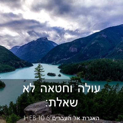 Picture 03 - האגרת אל העברים 10:6 HEB - עולה וחטאה לא - Bible Verse Picture