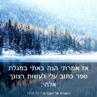 Picture 03 - האגרת אל העברים 10:7 HEB - אז אמרתי הנה באתי במגלת ספר - Bible Verse Picture