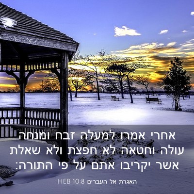 Picture 03 - האגרת אל העברים 10:8 HEB - אחרי אמרו למעלה זבח ומנחה - Bible Verse Picture