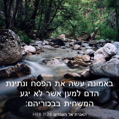 Picture 03 - האגרת אל העברים 11:28 HEB - באמונה עשה את הפסח ונתינת - Bible Verse Picture