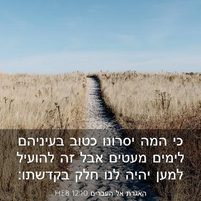 Picture 03 - האגרת אל העברים 12:10 HEB - כי המה יסרונו כטוב בעיניהם - Bible Verse Picture