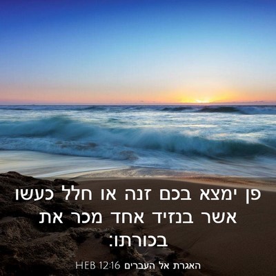 Picture 03 - האגרת אל העברים 12:16 HEB - פן ימצא בכם זנה או חלל כעשו - Bible Verse Picture