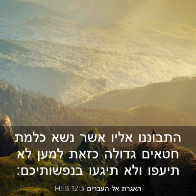 Picture 03 - האגרת אל העברים 12:3 HEB - התבוננו אליו אשר נשא כלמת - Bible Verse Picture