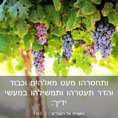 Picture 03 - האגרת אל העברים 2:7 HEB - ותחסרהו מעט מאלהים וכבוד - Bible Verse Picture