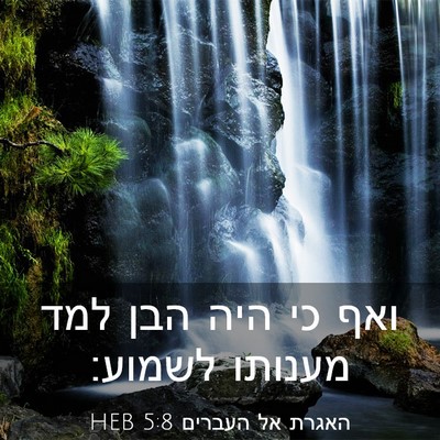 Picture 03 - האגרת אל העברים 5:8 HEB - ואף כי היה הבן למד מענותו - Bible Verse Picture