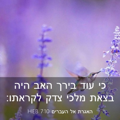 Picture 03 - האגרת אל העברים 7:10 HEB - כי עוד בירך האב היה בצאת - Bible Verse Picture
