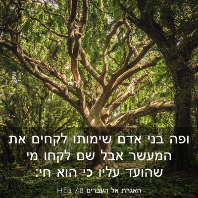 Picture 03 - האגרת אל העברים 7:8 HEB - ופה בני אדם שימותו לקחים את - Bible Verse Picture
