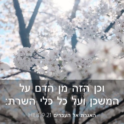 Picture 03 - האגרת אל העברים 9:21 HEB - וכן הזה מן הדם על המשכן ועל - Bible Verse Picture